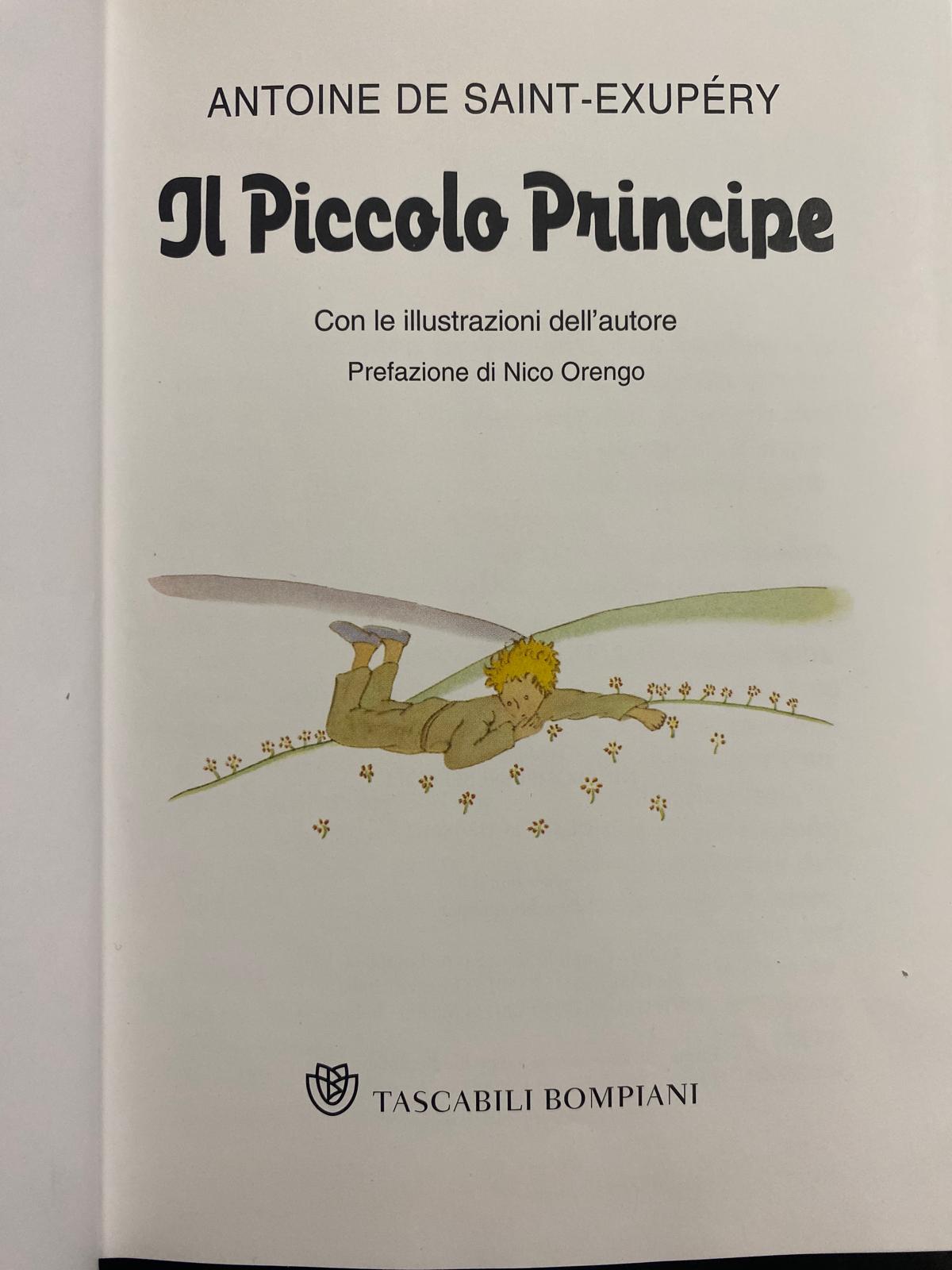 Il piccolo principe 